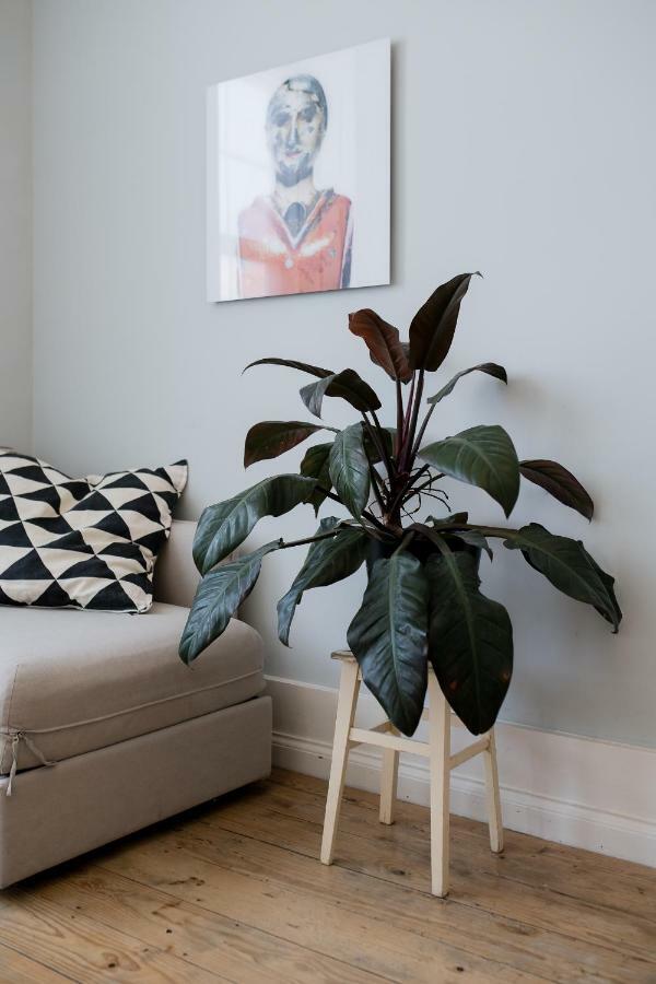 Baixa24 •P2R• Bright Apt In Vibrant Downtown Porto Exterior photo